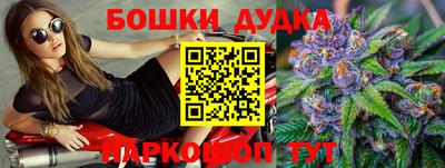 крисы Кулебаки