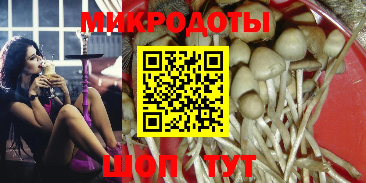 Псилоцибиновые грибы Cubensis Феодосия