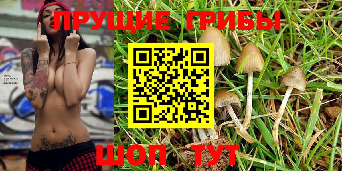 Галлюциногенные грибы Cubensis  Галлюциногенные грибы Psilocybe  Вход с VPN  Феодосия 